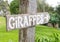 Outdoor wooden sign with the word Giraffes