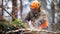 Outdoor work, lumberjack cutting timber with a powerful chainsaw. Forestry worker in action, chainsaw in hand.