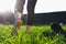 Outdoor workout. A woman walks on the grass in the backlight of the setting sun. Back view of legs in running shoes close-up.