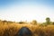 Outdoors camping grass highlands mountain in the sunset