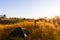 Outdoors camping grass highlands mountain in the Sunset