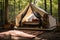 Outdoors holiday vacation landscape adventure summer trip nature tent travel camp forest
