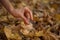 Outdoors photo of traditional hutsul drymba, jaw`s harp, silver vargan in female hand on fallen leaves background during