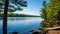 outdoors pine lake