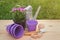 Outdoors purple plastic flower pots, seedling of osteospermum african daisy flowers, watering can and gardening tools