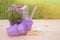 Outdoors purple plastic flower pots, seedlings of osteospermum african daisy, watering can and gardening tools
