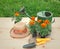 Outdoors seedlings of marigold flowers, straw hat, gardening tools and watering can