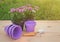 Outdoors seedlings of osteospermum african daisy, purple plastic flower pots and gardening tools