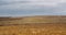 Outdoors shot of an empty vineyard meadow in spring time on a cloudy day.