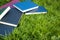 Outdoors study and reading in nature concept with books scattered on green grass in the park in summertime with copy space