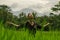 Outdoors yoga and meditation at rice field - attractive and happy middle aged Asian Japanese woman enjoying yoga and relaxation in