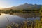 The Outeeniqua Mountains, George Botanical Gardens