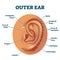 Outer ear anatomical organ structure educational scheme vector illustration.