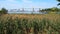 Outerbridge Crossing across Arthur Kill strait, looking northwest towards New Jersey from Staten Island, NY