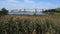 Outerbridge Crossing across Arthur Kill strait, looking northwest towards New Jersey from Staten Island, NY