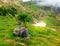 Outfit hiker. Backpacks, walking sticks and a tourist`s cap in the mountains on a halt under a tree