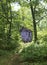 Outhouse in forest