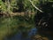 The outlet of a mangrove forest showing the high roots and muddy water