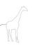 Outline of an african Giraffe