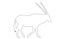 Outline of an african Oryx