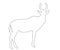 Outline of an african red hartebeest