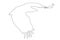 Outline of an african Vulture