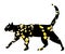 Outline of a black walking cat in gold spots