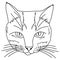 Outline cat portrait, muzzle of a kitten in a linear style