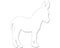 Outline of a donkey on a white background