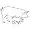 Outline drawing pig mom and pig, coloring page for kids learning, zoology and farm for toddlers, animal parents and kids vector