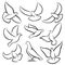 Outline flying doves, white birds and pigeons vector logos. Holy spirit, easter, love and peace design elements