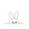 Outline of funny peeking bunny isolated on white