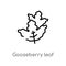 outline gooseberry leaf vector icon. isolated black simple line element illustration from nature concept. editable vector stroke