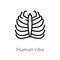 outline human ribs vector icon. isolated black simple line element illustration from human body parts concept. editable vector