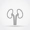 Outline kidneys vector icon.