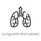 outline lungs with the trachea vector icon. isolated black simple line element illustration from human body parts concept.