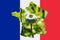 Outline map of the France with the image of the national flag. Image of poppy cob inside card. Collage. The France is a major