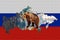 Outline map of Russia on the flag of the country. Common brown European bear inside the outline. Russia concept