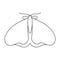 Outline moth, decorative element, flat design. Isolated vector illustration