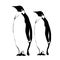 Outline penguins vector image.