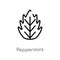 outline peppermint vector icon. isolated black simple line element illustration from nature concept. editable vector stroke