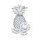 Outline pineapple icon with sliced pineapple on a white background