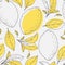 Outline seamless pattern with hand drawn lemon and leaves. Doodle fruit for package or kitchen design