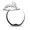 Outline sketch monochrome apple.