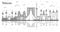 Outline Tehran Iran City Skyline with Historic Buildings and Reflections Isolated on White