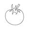 Outline tomato juicy vegetable icon