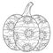 Outlined autumn pumpkin coloring book page in botanical style