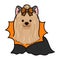 Outlined Halloween Yorkshire Terrier illustration sitting front view