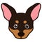 Outlined Miniature Pinscher front head