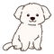 Outlined simple and adorable white Maltese dog sitting illustration